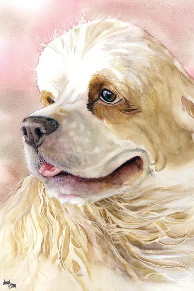 Spaniels: Cream and Sugar - Cocker Spaniel by Judith Stein