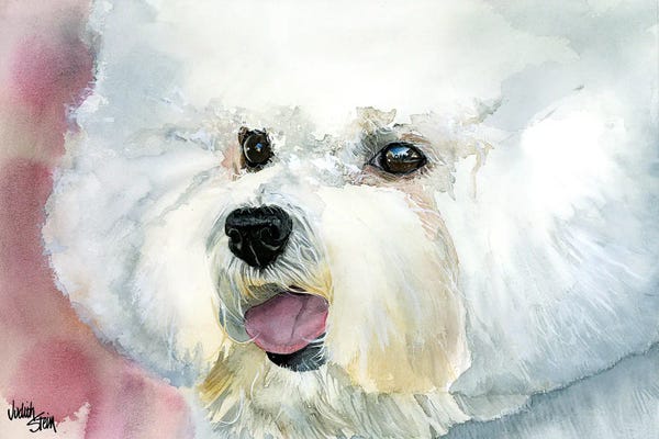 Bichon Frises: Curly Cue - Bichon Frise' by Judith Stein