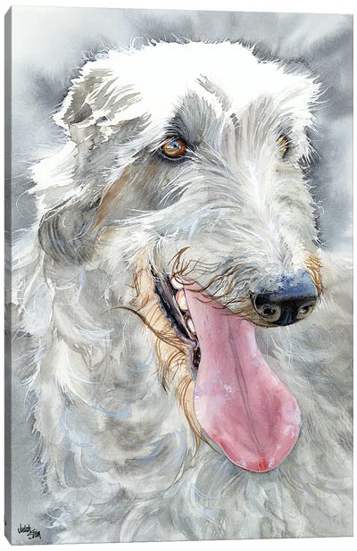 Deer Hunter - Scottish Deerhound Canvas Art Print - Judith Stein