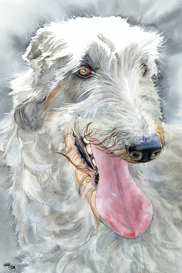 Scottish Deerhounds