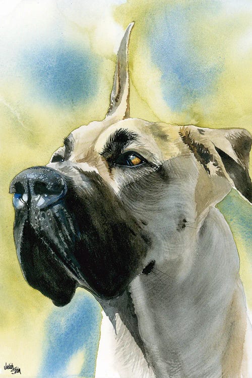Deutsche Dogge - Great Dane  by Judith Stein wall art