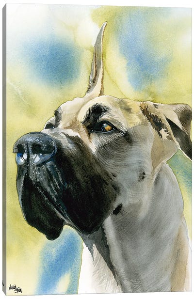 Deutsche Dogge - Great Dane  Canvas Art Print - Judith Stein