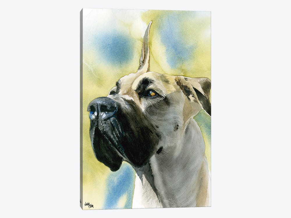 Deutsche Dogge - Great Dane  by Judith Stein 1-piece Canvas Wall Art