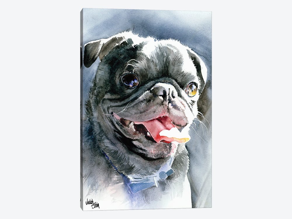 Dog Day Afternoon - Pug by Judith Stein 1-piece Canvas Art Print