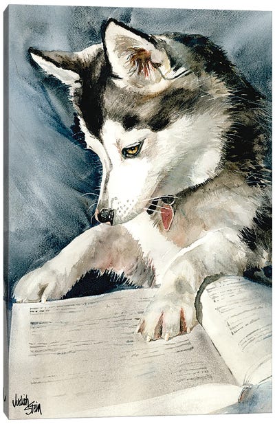 Dog Eared Canvas Art Print - Siberian Husky Art