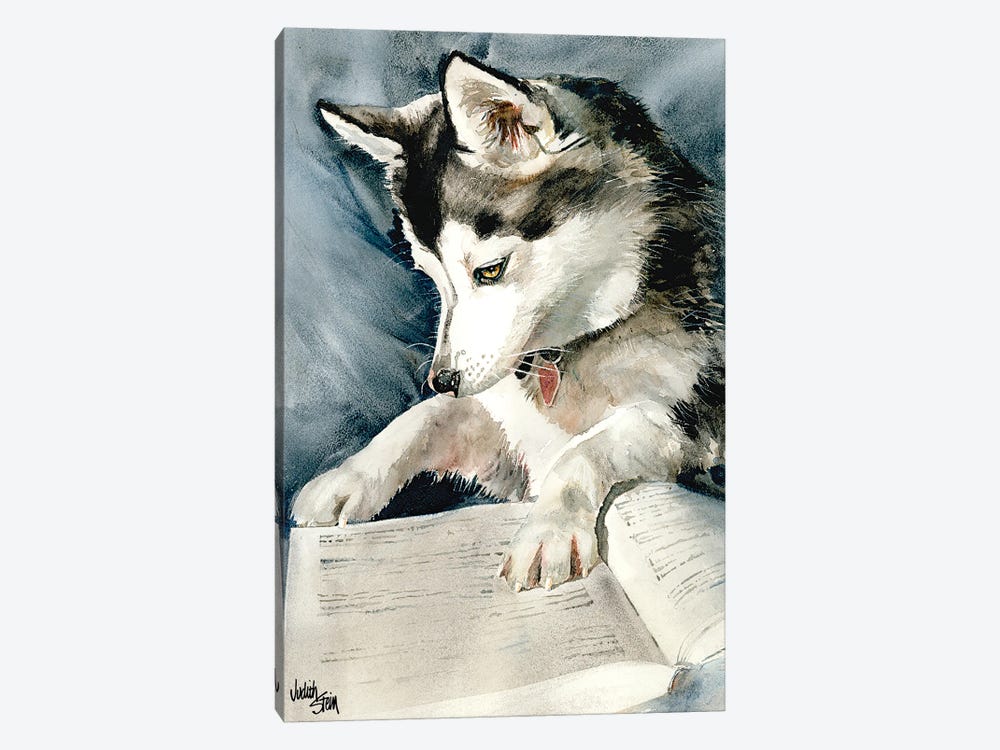 Dog Eared by Judith Stein 1-piece Canvas Art Print
