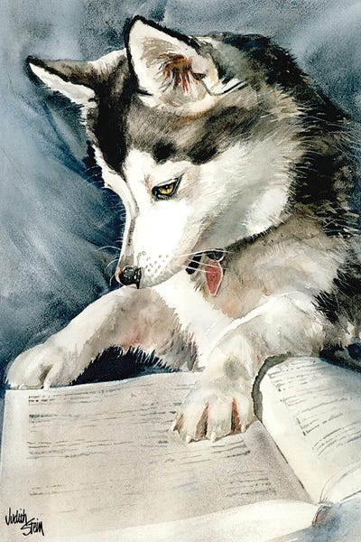 Siberian Huskies: Dog Eared by Judith Stein