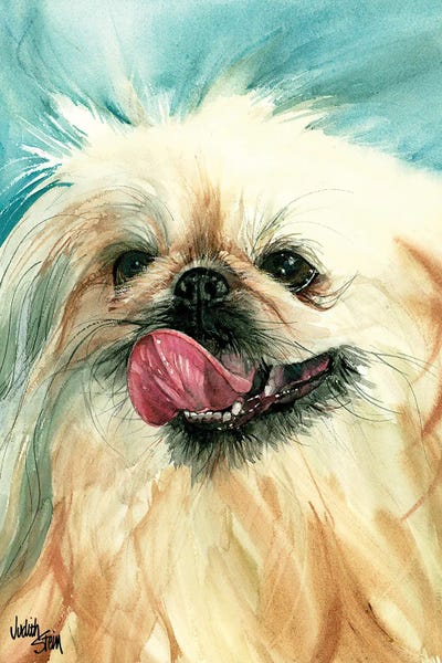 Dog of Foo by Judith Stein framed wall art