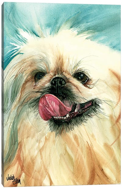 Dog of Foo Canvas Art Print - Judith Stein