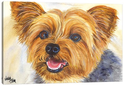 Duke - Blue Yorkshire Terrier Canvas Art Print