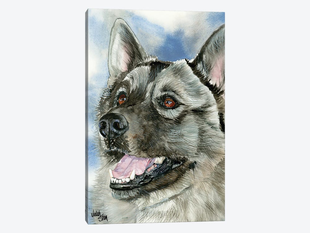 Elkie - Norwegian Elkhound by Judith Stein 1-piece Canvas Wall Art