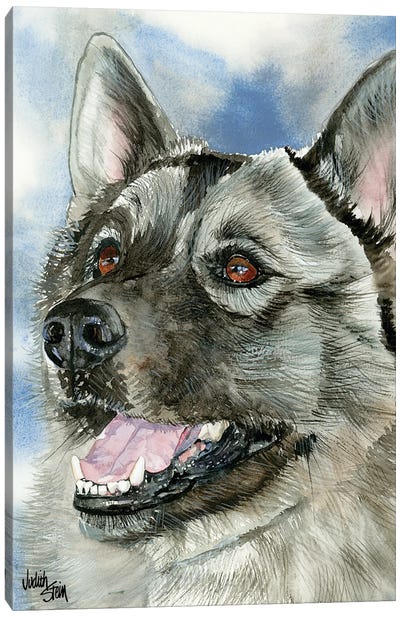 Elkie - Norwegian Elkhound Canvas Art Print - Judith Stein