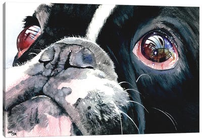 Eye See You - French Bulldog Canvas Art Print - French Bulldog Art