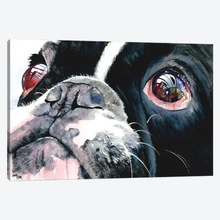 Eye See You - French Bulldog Canvas Print #JDI57} by Judith Stein Canvas Art