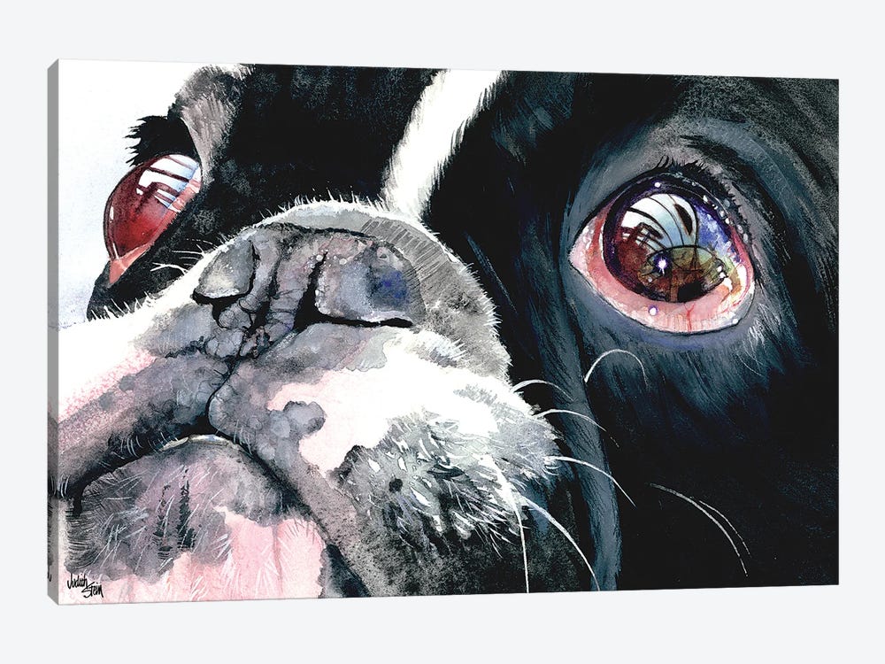 Eye See You - French Bulldog 1-piece Canvas Art Print