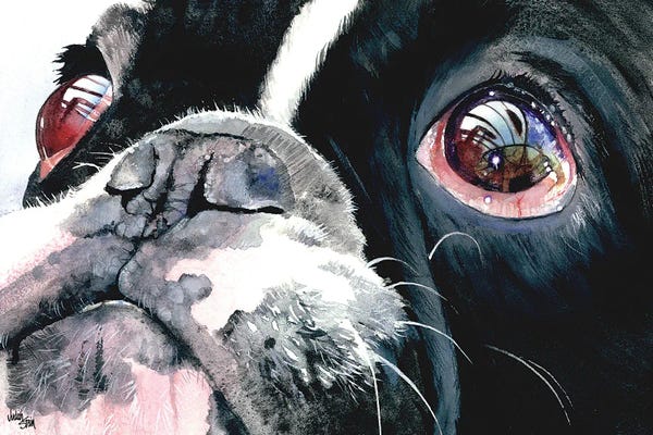 French Bulldogs: Eye See You - French Bulldog by Judith Stein