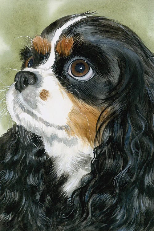 Fit for a King - Cavalier King Charles Spaniel Tri-Color