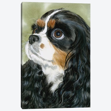 Fit for a King - Cavalier King Charles Spaniel Tri-Color Canvas Print #JDI59} by Judith Stein Art Print