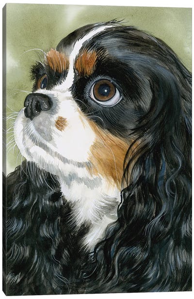 Fit for a King - Cavalier King Charles Spaniel Tri-Color Canvas Art Print - Cavalier King Charles Spaniel Art