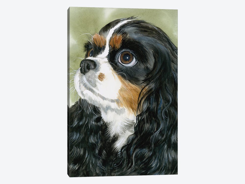 Fit for a King - Cavalier King Charles Spaniel Tri-Color by Judith Stein 1-piece Canvas Art Print