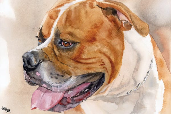 American Bulldogs: All American - American Bulldog - Red & White by Judith Stein
