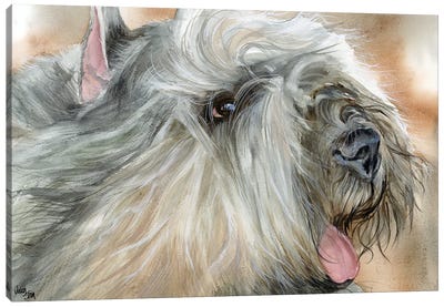 Flanders Cattle Dog - Bouvier des Flandres Canvas Art Print - Judith Stein