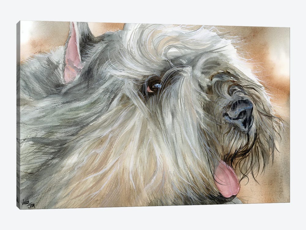 Flanders Cattle Dog - Bouvier des Flandres by Judith Stein 1-piece Canvas Art Print