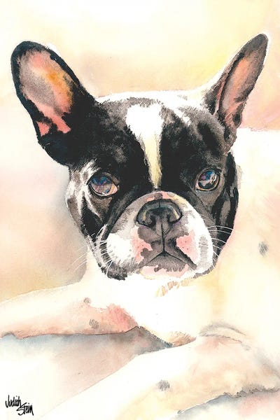 French Bulldogs: Frenchie by Judith Stein