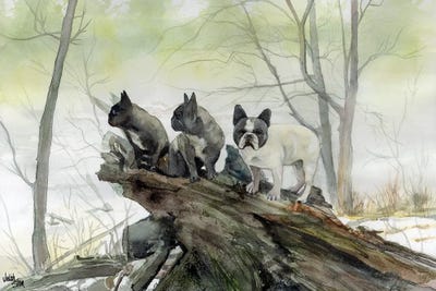 Frenchies in the Mist by Judith Stein acrylic art print