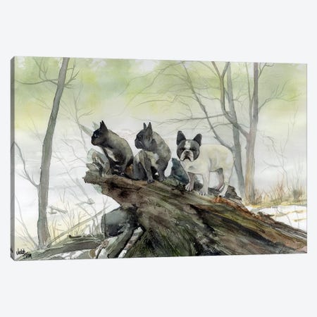 Frenchies in the Mist Canvas Print #JDI62} by Judith Stein Canvas Wall Art