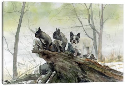 Frenchies in the Mist Canvas Art Print - Judith Stein