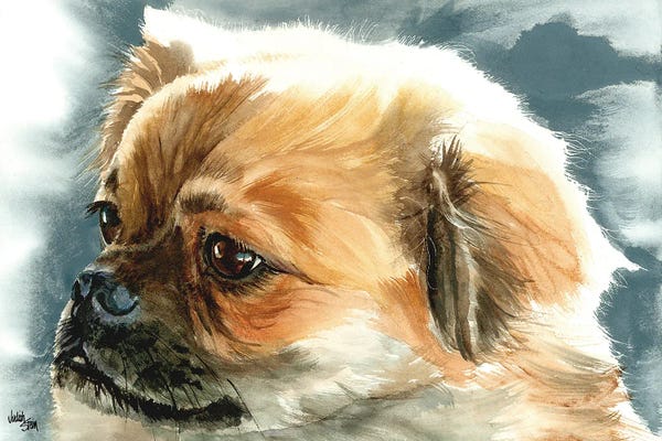 Friends in High Places - Tibetan Spaniel
