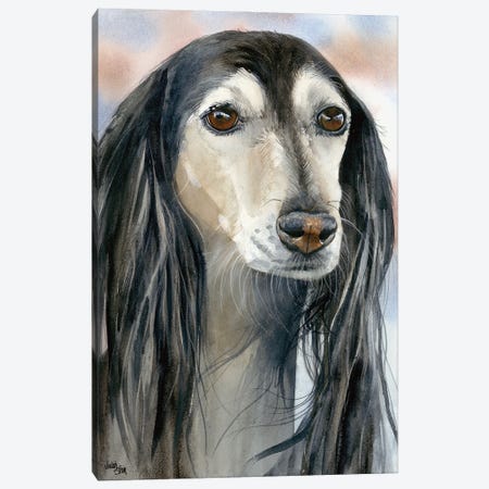 Gazelle Hound - Saluki Dog Canvas Print #JDI64} by Judith Stein Art Print