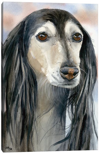 Gazelle Hound - Saluki Dog Canvas Art Print - Judith Stein