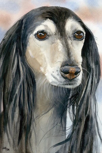 Gazelle Hound - Saluki Dog