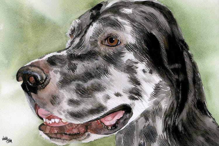Get Set - English Setter - Black & White