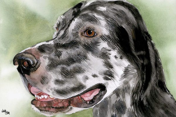 Get Set - English Setter - Black & White