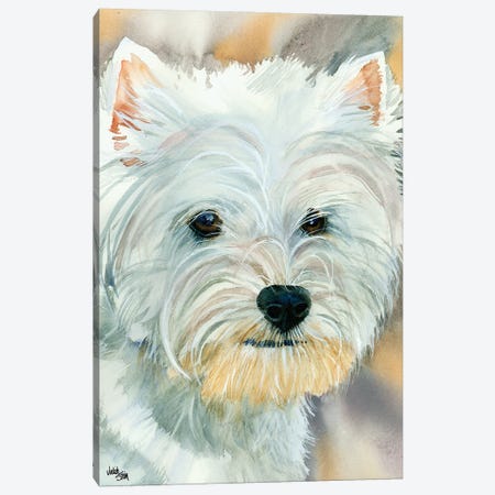 Go Westie - West Highland Terrier Canvas Print #JDI67} by Judith Stein Canvas Art Print