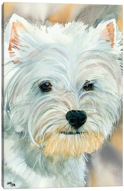Go Westie - West Highland Terrier Canvas Art Print - Judith Stein
