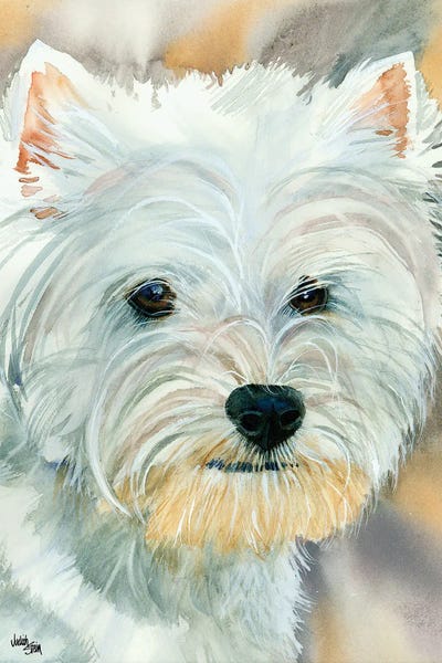Terriers: Go Westie - West Highland Terrier by Judith Stein
