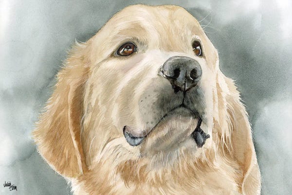Golden Retrievers: Golden Opportunity - Golden Retriever by Judith Stein