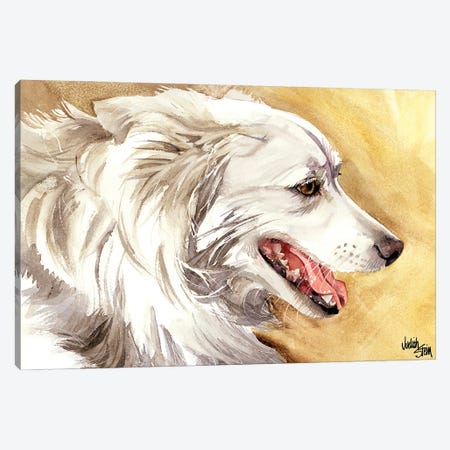 American Eskimo Dog Canvas Print #JDI6} by Judith Stein Canvas Print