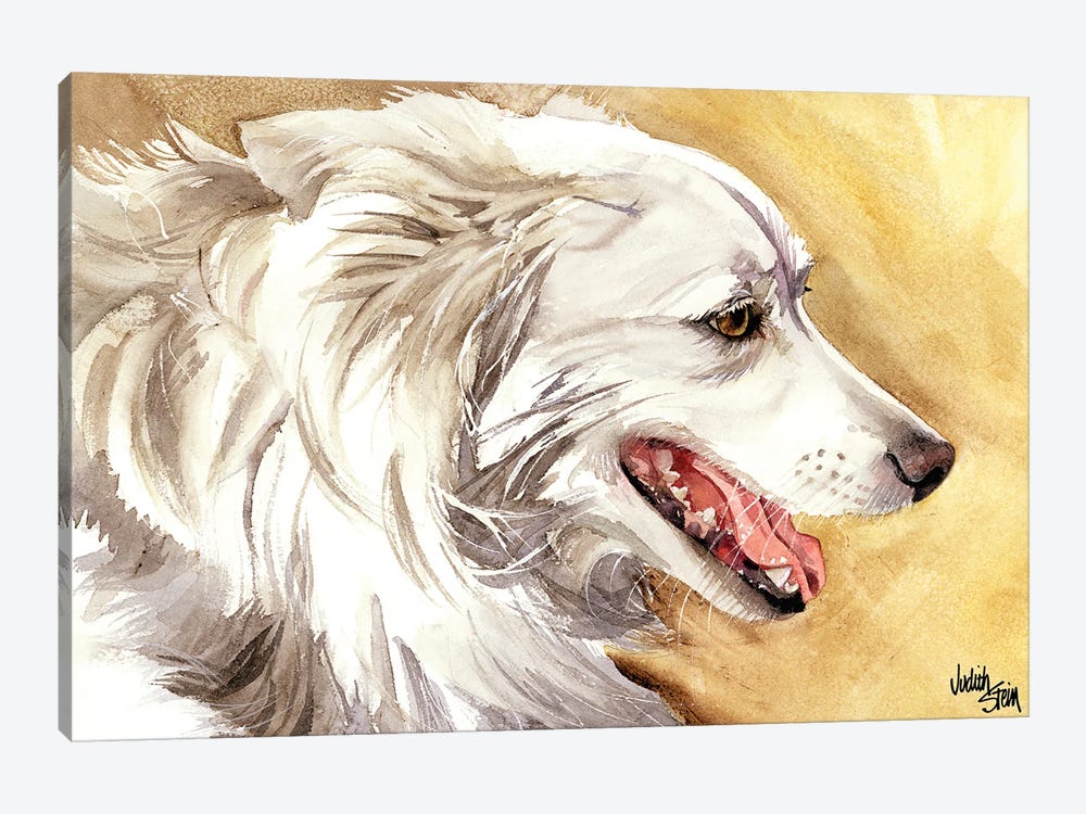 American Eskimo Dog by Judith Stein 1-piece Canvas Art