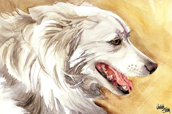 American Eskimo Dogs