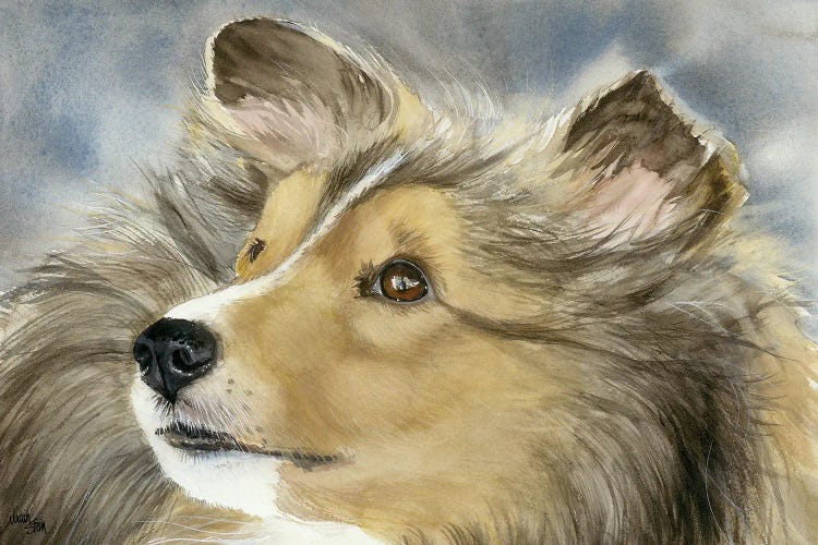 Good Company - Shetland Sheepdog by Judith Stein wall art