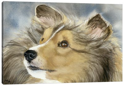 Good Company - Shetland Sheepdog Canvas Art Print - Judith Stein