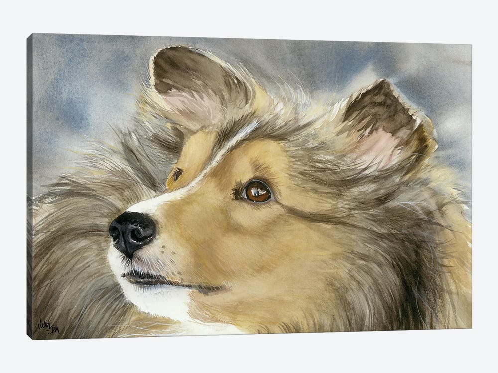 Good Company - Shetland Sheepdog by Judith Stein 1-piece Canvas Artwork