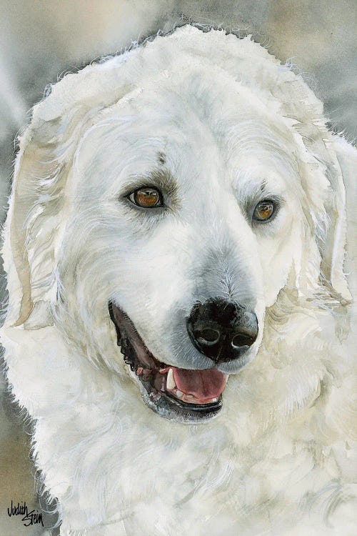 Great Protector - Kuvasz