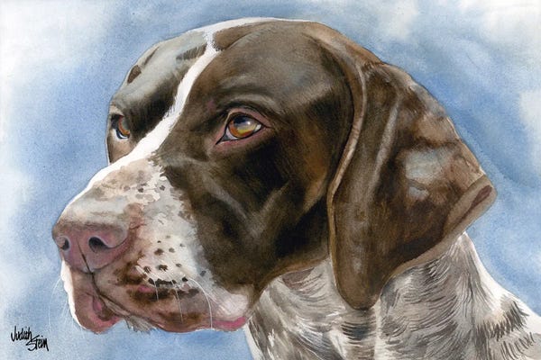 German Shorthaired Pointers: GSP - German Short Haired Pointer by Judith Stein