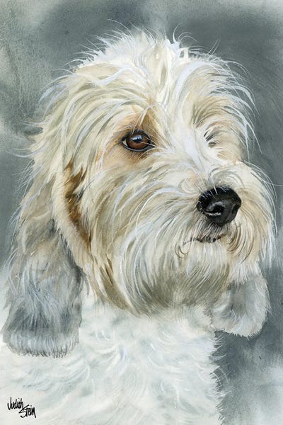 Petit Basset Griffon Vendeens